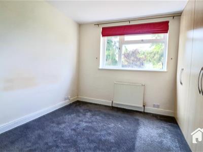 Picture 23